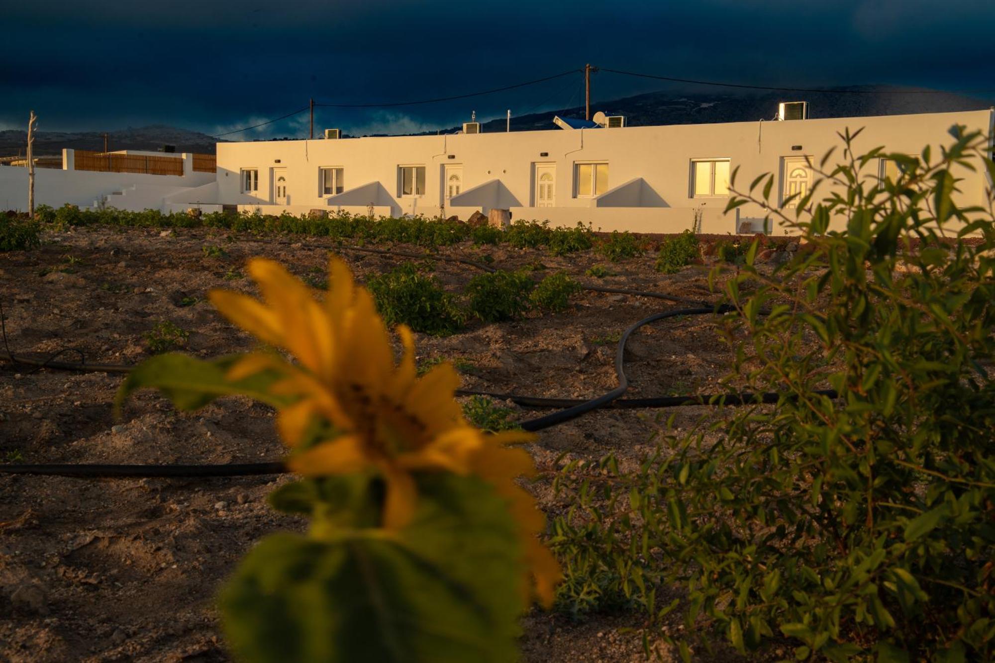 Calma Eco Houses Sunset View Emporio  Exteriör bild